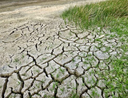 Beginn des Klimaanpassungskonzeptes für die Stadt Rottenburg