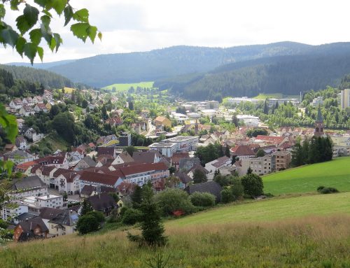 Landschaftsplan und Flächennutzungsplan für Furtwangen und Gütenbach