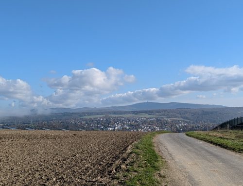 Landschaftsplan und Umweltprüfung zum FNP der Hochschulstadt Idstein