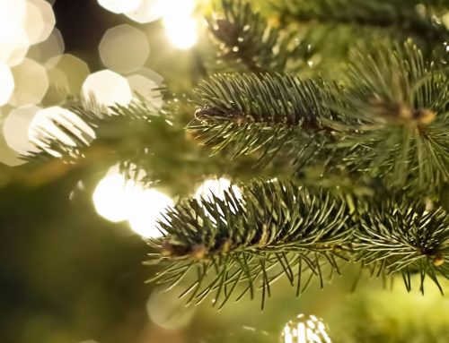 Auszeit zum Jahresende – Betriebsferien vom 22.12.25-07.01.26